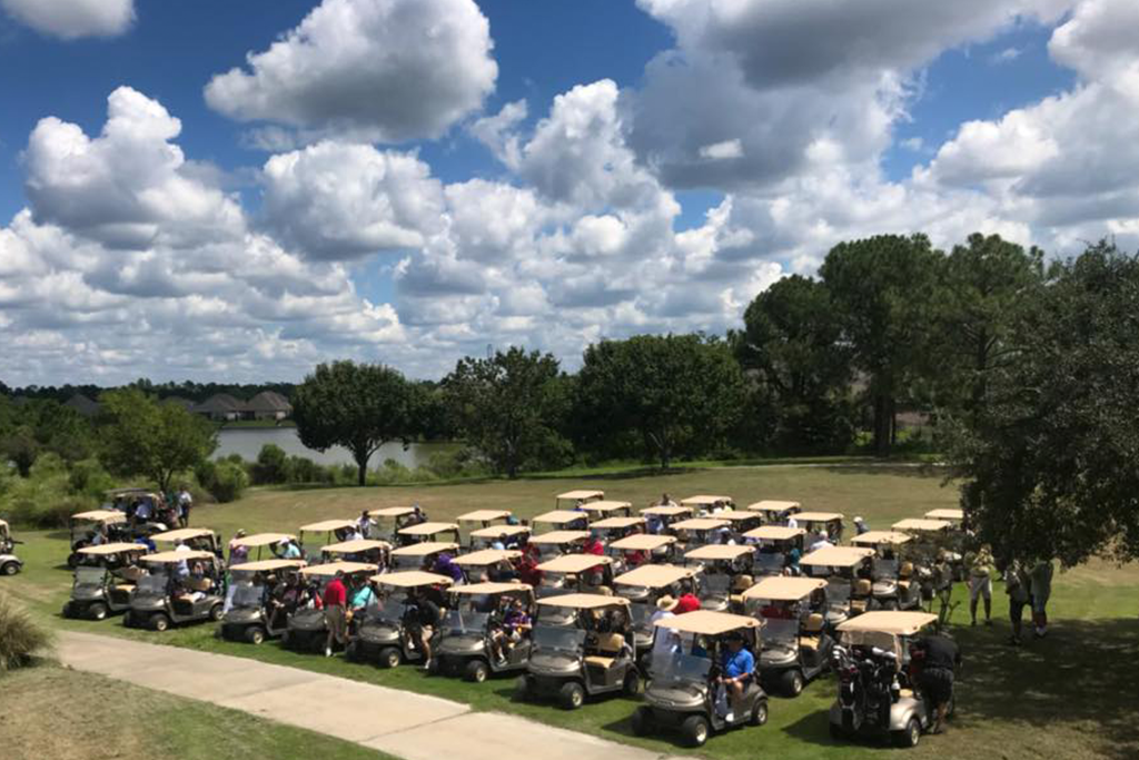Carts near trees and path